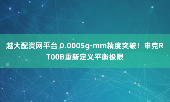 越大配资网平台 0.0005g·mm精度突破！申克RT00B重新定义平衡极限