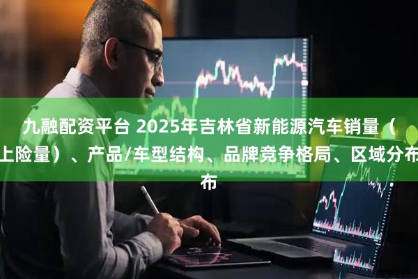 九融配资平台 2025年吉林省新能源汽车销量（上险量）、产品/车型结构、品牌竞争格局、区域分布